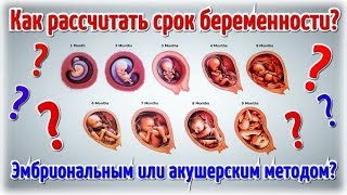 Как рассчитать срок беременности? Эмбриональным или акушерским методом?