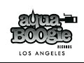 Aqua boogie house music 1996 memories