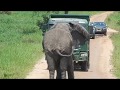 Fight elephant vs truck