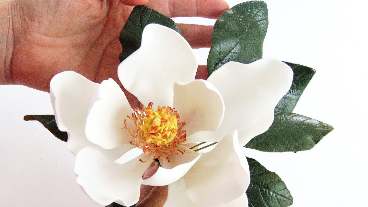 Magnolia en azúcar  Tips claves para el corte y alambrado de pétalos