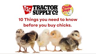 Ten Things To Know Before You Buy Chicks Tractor Supply Chick Days