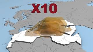 Climate change: Middle East and North Africa will soon become uninhabitable