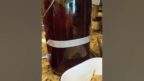 DIY Kombucha