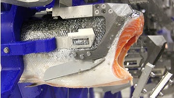 See How Salmon Fillet Are Made in Factory | Complete Automated Process Technology