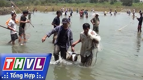 THVL | Người đưa tin 24G: Hồ thủy điện Trị An đóng cửa đập, hàng trăm người dân đổ xô đến bắt cá