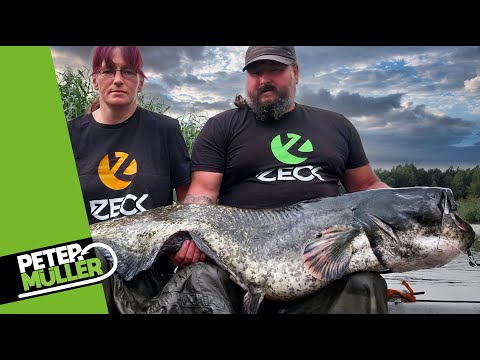 Welsangeln in der Heimat - Andrea und Rene räumen ab! #waller #fishing #angeln #catchandcook