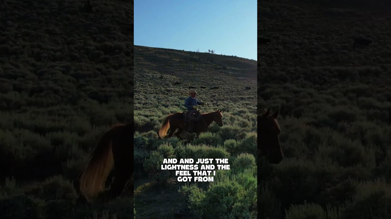 I need that control in my horses.