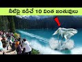 Animals that can walk on water | Animals with unique abilities PART 6 | facts in telugu | bmc facts