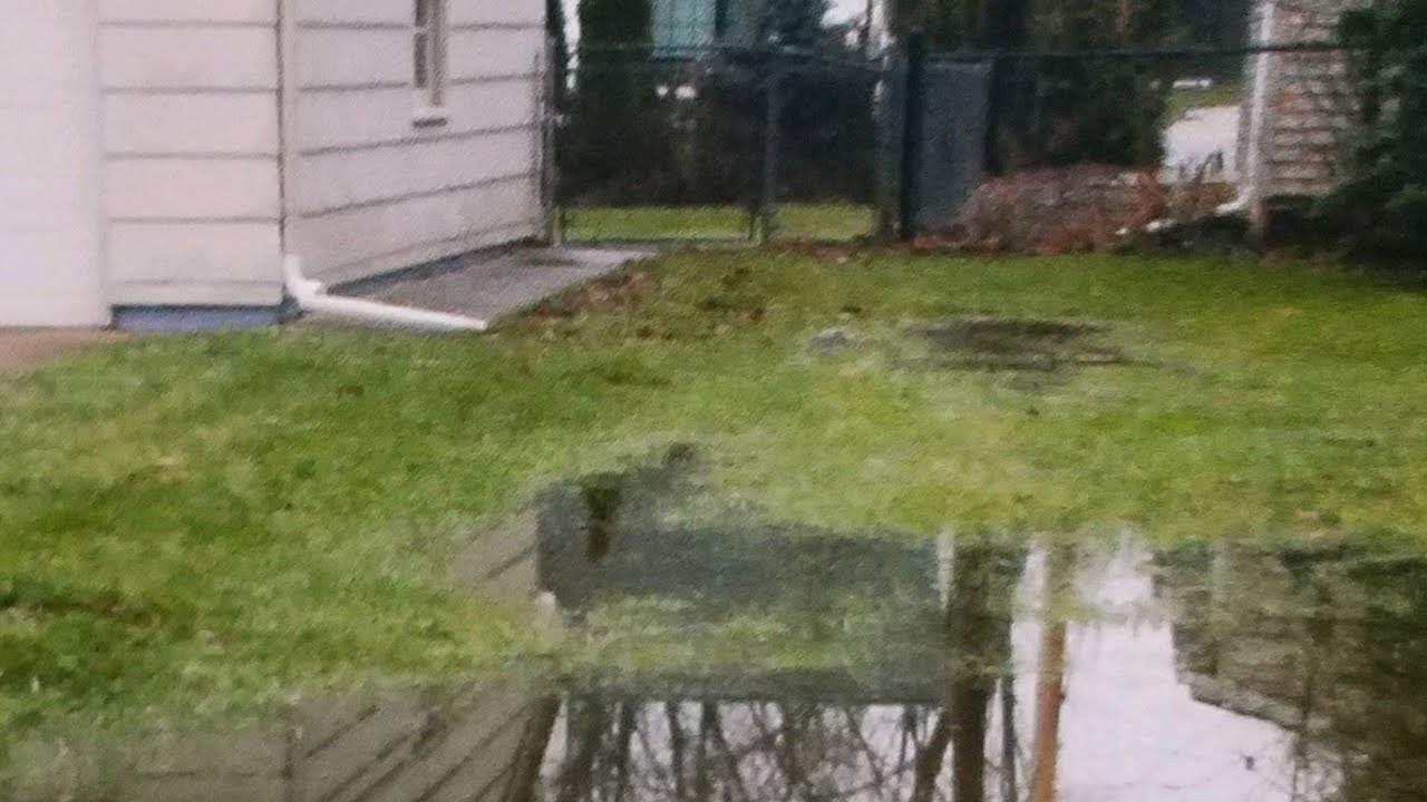 This Could Be Why The Neighbor'S Yard Is Causing Your Yard Water Problem