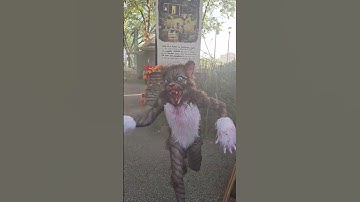 HHN Week 2 | 🎶 Trivialized - Protokoll 19 🎶
