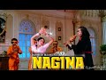 NAGINA مترجم سريديفي ريشي كابور امريش بوري