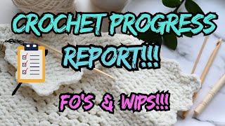Crochet Progress Report: Episode #9