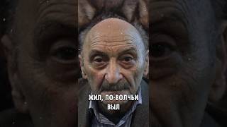 Стая, которая скорбит? Зачем волки «соблюдают» сороковины #этология #природа