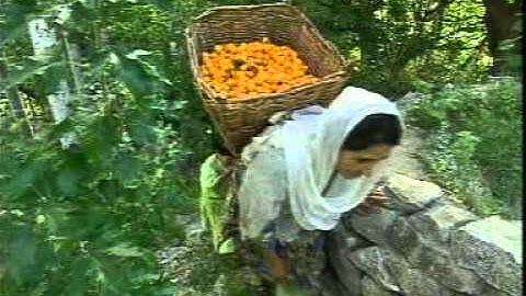 AIOU BA Library & Information Science Code 422-423 Prog 3