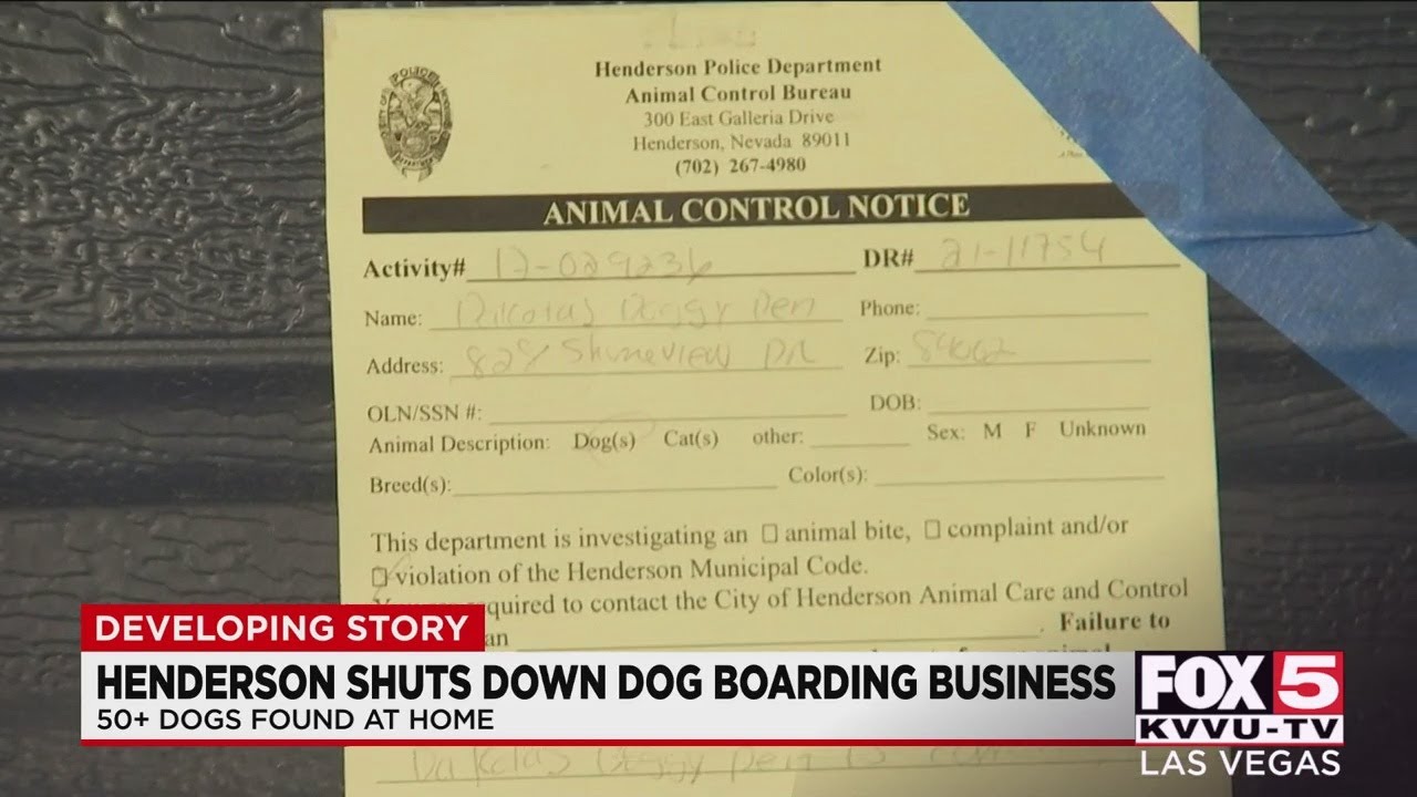 Henderson animal control shuts down dog boarding business run out of home YouTube