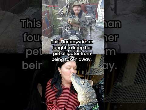 This woman keeps a 6-foot alligator in her house. #alligator #wildlife