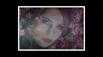 New theme styles || Proshow producer