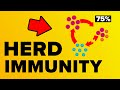 Coronavirus Herd Immunity - Explained