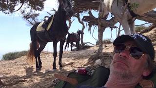 Rando Equestre Maroc 2018 - Essaouira - A horse Journey in Morocco