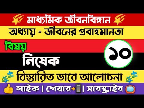 ভিডিও: আমরা ইনডোর হিলিওট্রোপ হাইব্রিড বৃদ্ধি করি - হেলিওট্রপিয়াম হিব্রিডিয়াম - হিলিওট্রোপের প্রজাতি এবং বিভিন্ন ধরণের