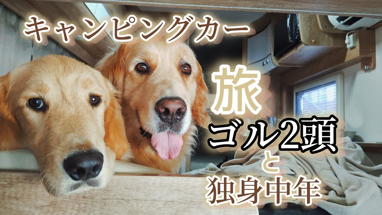 独身中年と2頭のゴル【キャンピングカー旅】仔犬が加わり伊勢・紀州へ