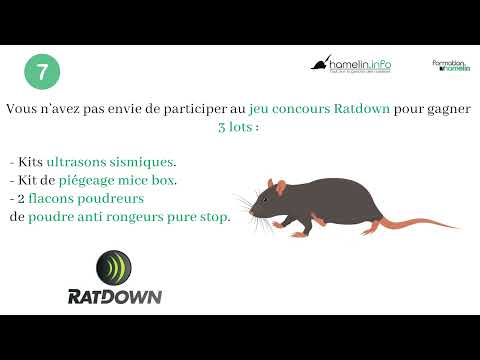 Une lutte anti-nuisibles sans chimie et performante - Ratdown