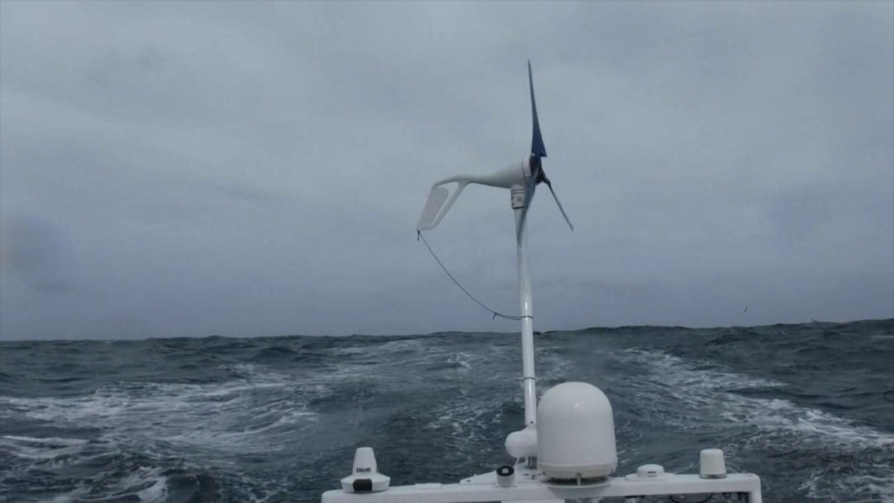 J33 : Les albatros accompagnent Rich Wilson / Vendée Globe