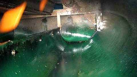 Radix carrot rejection 2.avi