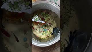 លាងសម្អាតធុងចិញ្ចឹមត្រី #sorts #sortvideo#fishvideo