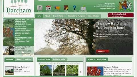 Navigating the Barcham website Homepage Part 2.avi