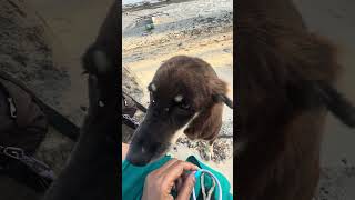 I made a friend in Bohol 🥰💜💃