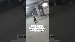 The Best Pest Control Services In Ahmedabad