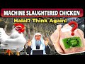 Haram Or Makrooh Are Machine Slaughtered Chickens Halal To Eat Sheikh Assim Al Hakeem Assim Haram Or Makrooh Are Machine Slaughtered Chickens Halal To Eat Sheikh Assim Al Hakeem Assim