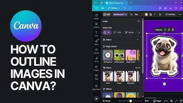 How To Outline Images in Canva?