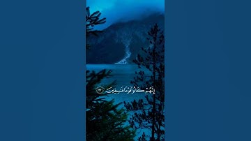 ✦ اسلك يدك في جيبك تخرج بيضاء | سورة القصص | ياسر الدوسرى