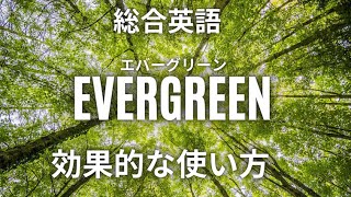 総合英語Evergreenの効果的な使い方完全解説【英文法おすすめ参考書】