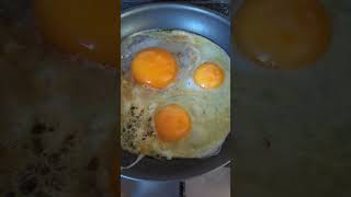 Cooking a goose egg