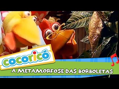 Cocoricó - A Metamorfose da Borboleta