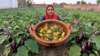बनाई खेत के ताजे डिस्को बैगन पालक और आलू की देसी स्वादिस्ट सब्जी Village Life Food Vlog