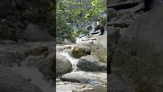 Waterfall Behind the Rocks 🌿 Hidden Forest Escape