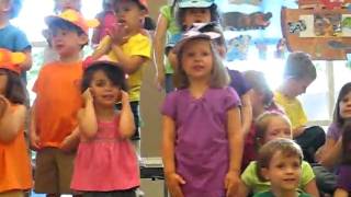 Monkey Spring Program