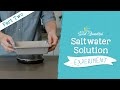 Saltwater Solution Experiment Quiz