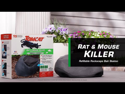 TOMCAT Rockscape Bait Station: Rat and Mouse Killer, India