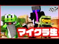 【マイクラ】マイクラ生!最新アプデバニラ1.19体験!【Minecraft】