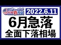 CPI+8.6％上昇！米テック企業のリストラが本格化！悪材料目白押しによる6月急落を検証しつつ、今週の米国株式相場を振り返ります【米国株投資】2022.6.11