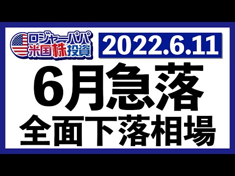 CPI+8.6％上昇！米テック企業のリストラが本格化！悪材料目白押しによる6月急落を検証しつつ、今週の米国株式相場を振り返ります【米国株投資】2022.6.11