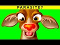 Why is Rudolph’s nose red? - Christmas Fact Show 16