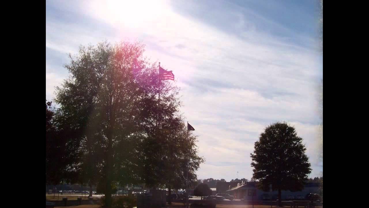 ‎5,000 Dead Birds,Beebe Arkansas Chemtrails YouTube