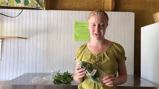 The Best Way to Store Fresh Basil