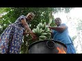 Ash Plantain (Cooking Banana) Cutlets prepared by Grandma ...